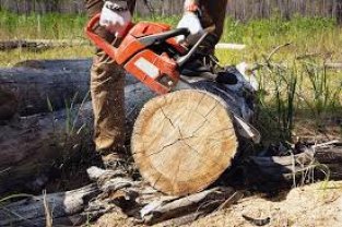Service coupe de bois